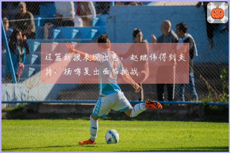 辽篮新援表现出色，赵继伟得到支持，杨鸣复出面临挑战