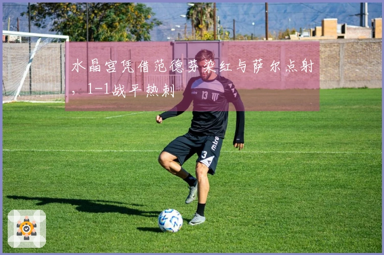 水晶宫凭借范德芬染红与萨尔点射，1-1战平热刺