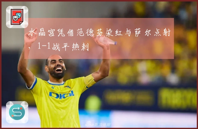 水晶宫凭借范德芬染红与萨尔点射，1-1战平热刺