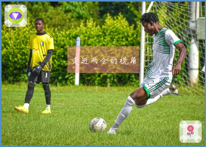 走近两会的视角